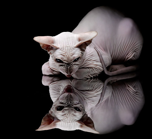 FB体育官网平台-委内瑞拉队在足球比赛中强势登顶,委内瑞拉职业足球俱乐部