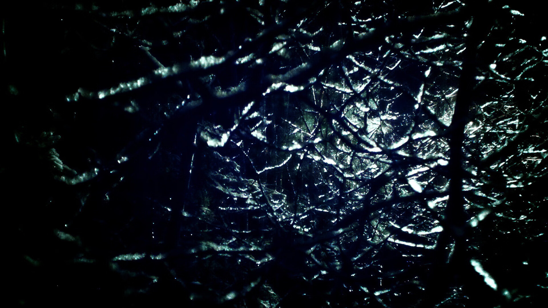 fb体育平台安全-德国女子公路赛选手在比赛中获得第十二名，德国女短跑