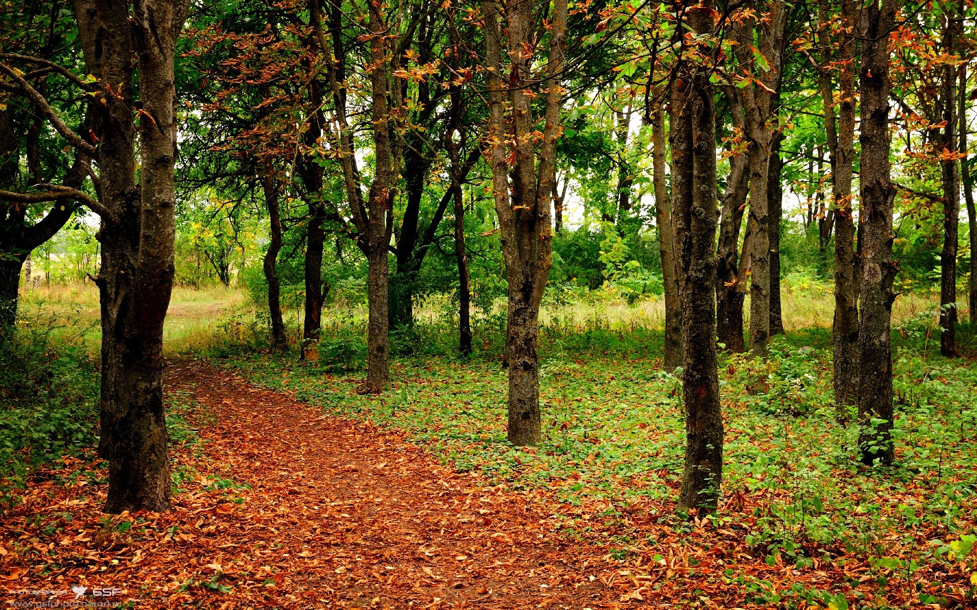 FBSPORTS-意大利女子排球队在半决赛中击败巴西队,意大利女排巴西女排