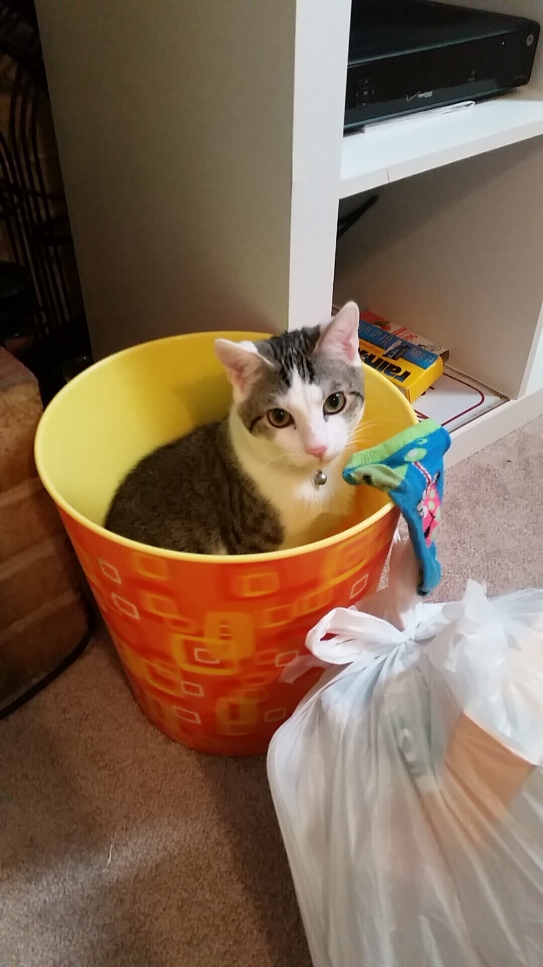 FB体育注册网址-无尽激情燃烧全场,对手亦步亦趋,无尽无止