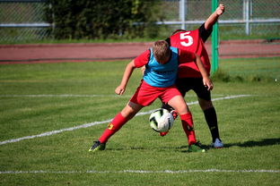 FB体育在线直播平台-体育赛事志愿者管理及培训体系建设，体育赛事志愿者的工作要求