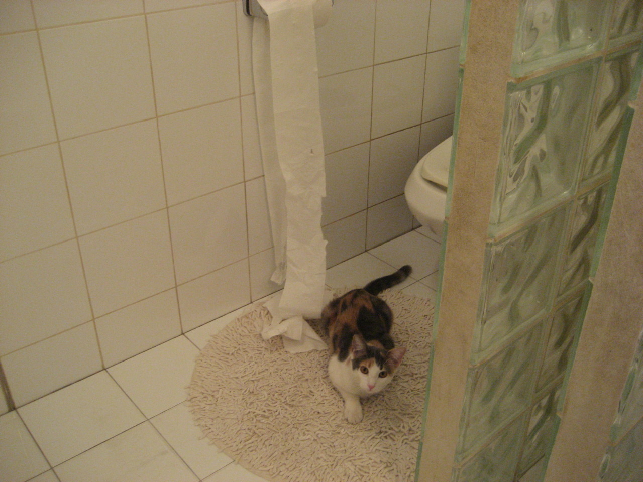 FBSPORTS-苏炳添百米再破10秒大关,苏炳添100米破十秒全部视频