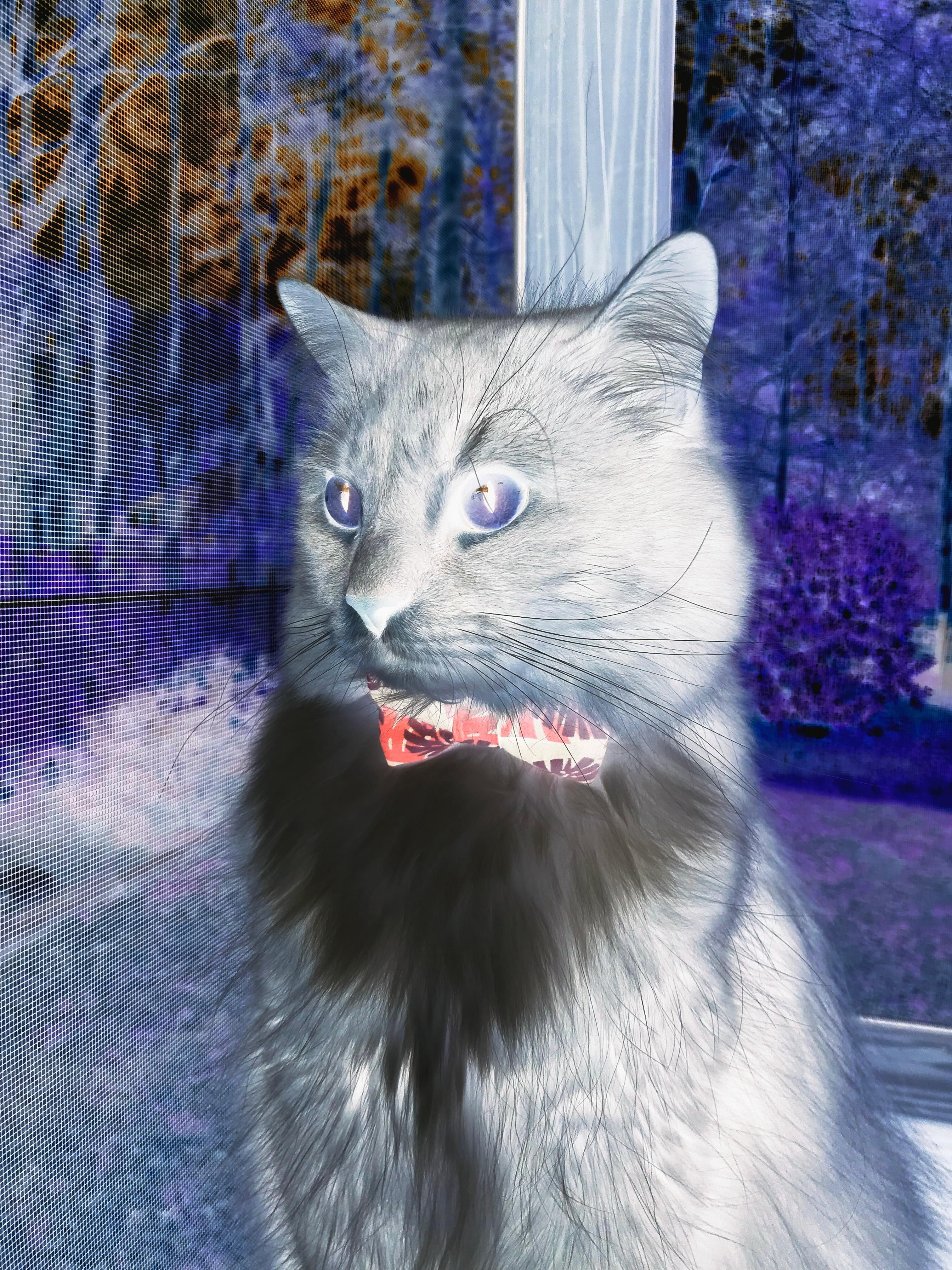 FB体育注册网址-高校校园体育文化生态体系构建分析,校园体育文化建设对于塑造大学生的健康体质和完整人格