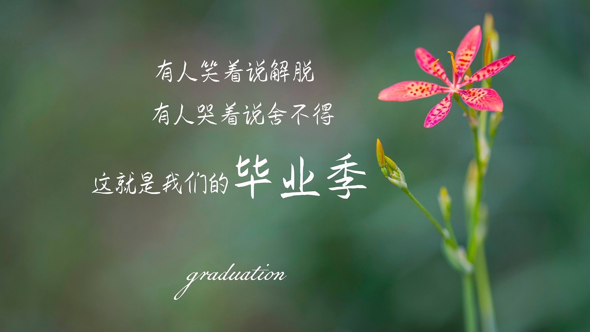 FB体育娱乐-“挑战自我,SHO-CHAN Run 2025赛道见证香港跑步新高峰”