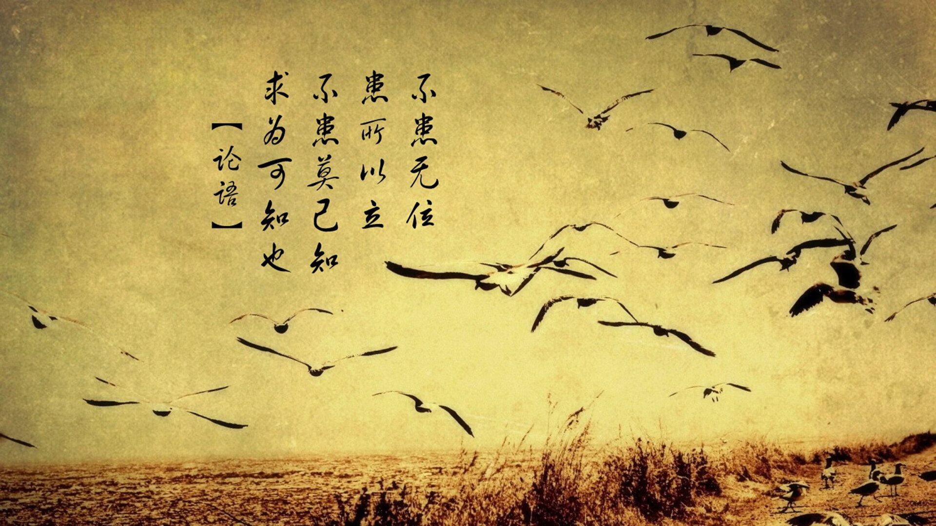 FB体育入口-中国香港选手在国际赛事中迎来突破,香港参赛名单