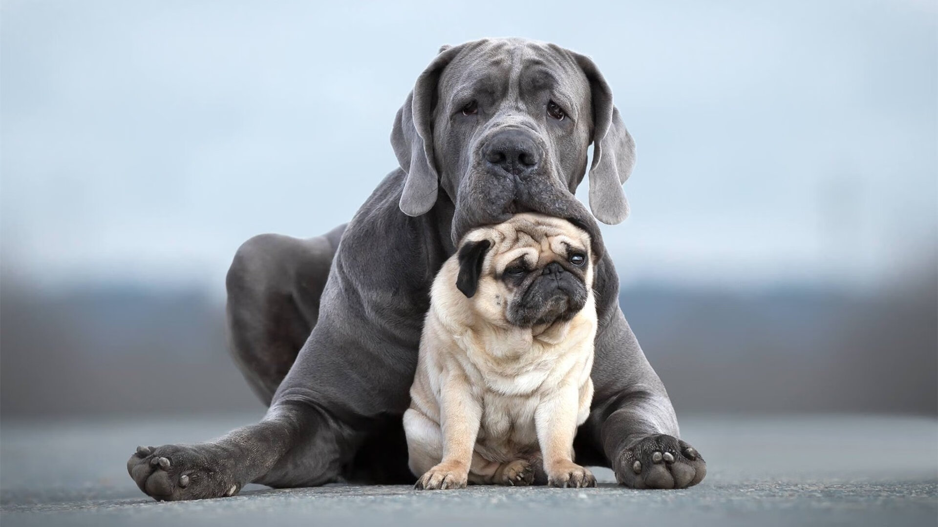 fb体育全站-五大联赛逆转比赛发生时间是否集中在比赛后段,五大联赛转会规则