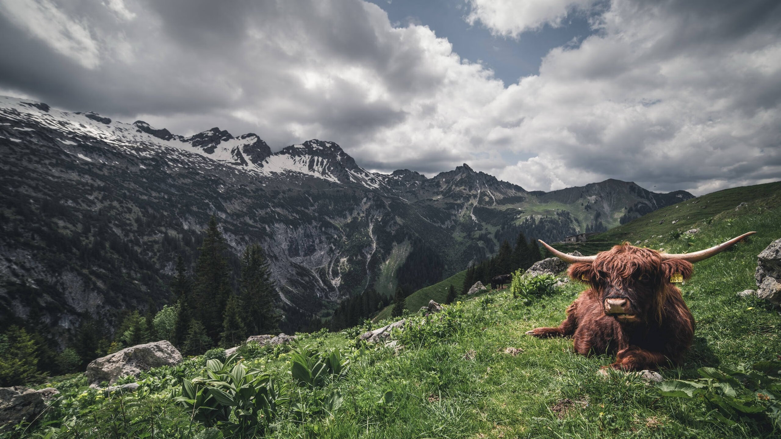 FB体育官网-体育新闻中心推动体育传播领域AIGC成果转化,体育传播活动中新媒体使用情况调查报告