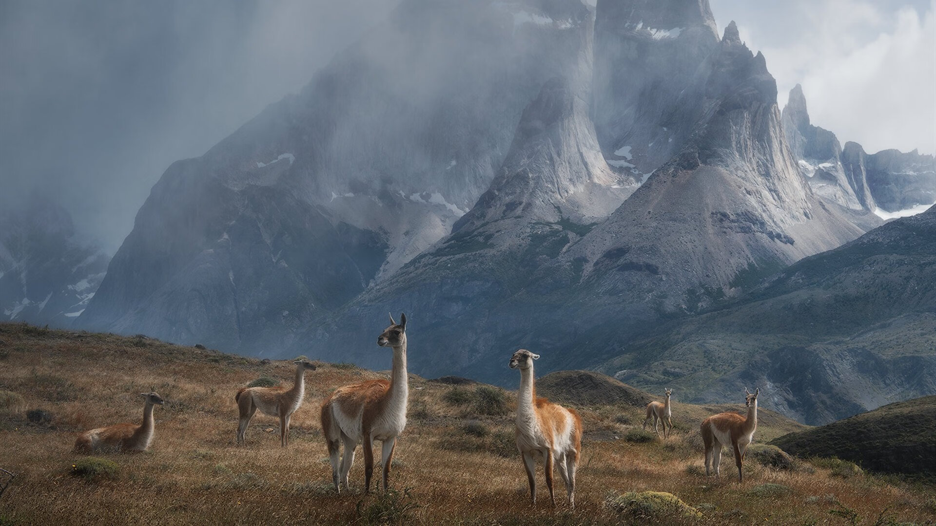 FB体育网站-博卡青年力争成为南美输出型俱乐部代表,博卡青年队竞技的比分预测